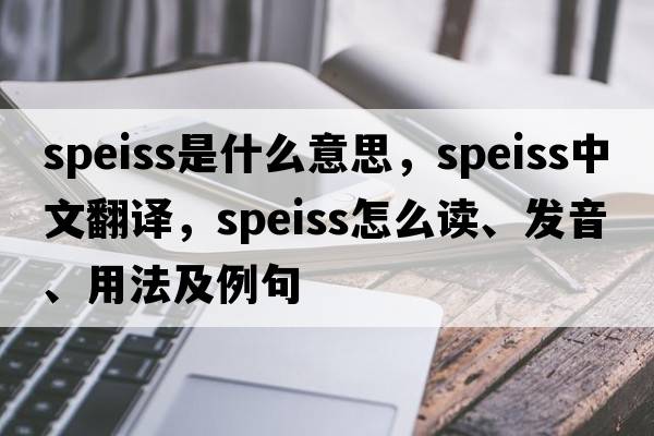 speiss是什么意思，speiss中文翻譯，speiss怎么讀、發(fā)音、用法及例句