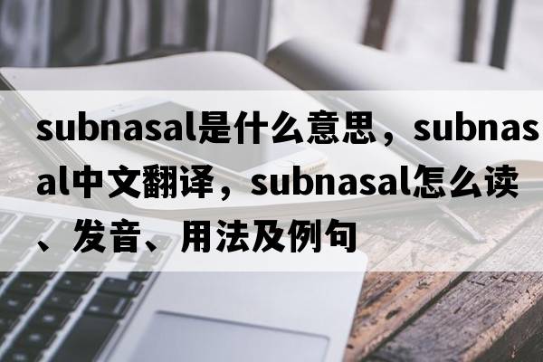 subnasal是什么意思，subnasal中文翻譯，subnasal怎么讀、發(fā)音、用法及例句