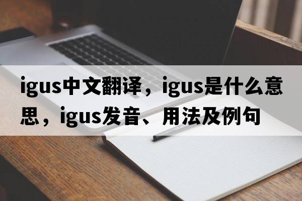 igus中文翻譯，igus是什么意思，igus發(fā)音、用法及例句