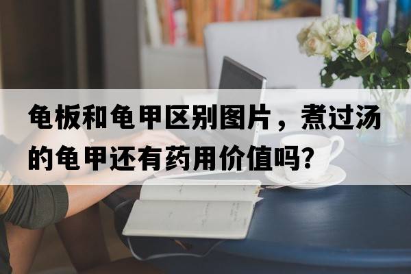 龜板和龜甲區別圖片，煮過(guò)湯的龜甲還有藥用價(jià)值嗎？