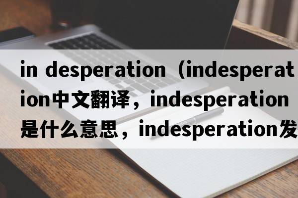 in desperation（indesperation中文翻譯，indesperation是什么意思，indesperation發(fā)音、用法及例句）