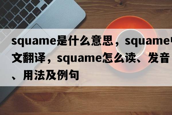 squame是什么意思，squame中文翻譯，squame怎么讀、發(fā)音、用法及例句
