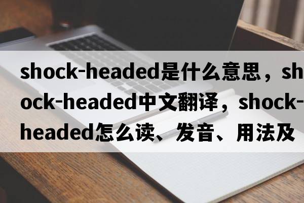 shock-headed是什么意思，shock-headed中文翻譯，shock-headed怎么讀、發(fā)音、用法及例句