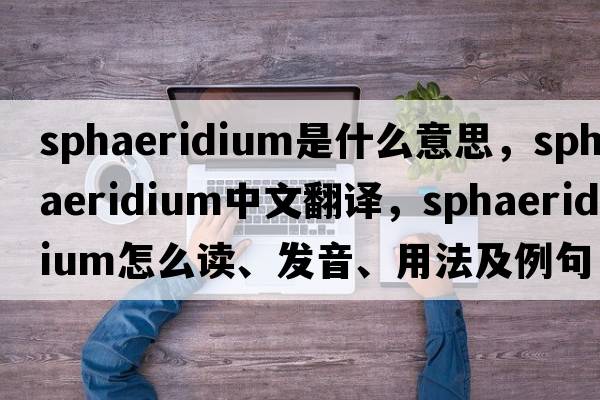 sphaeridium是什么意思，sphaeridium中文翻譯，sphaeridium怎么讀、發(fā)音、用法及例句