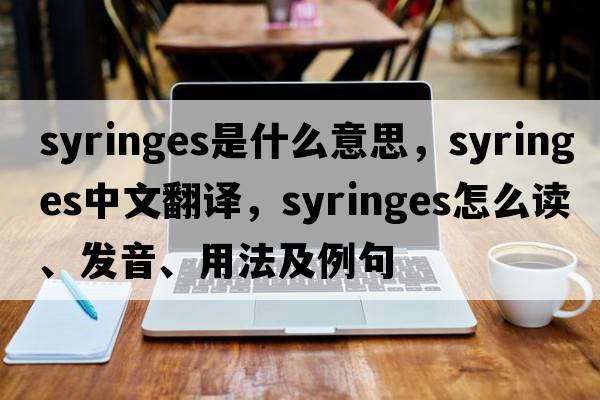 syringes是什么意思，syringes中文翻譯，syringes怎么讀、發(fā)音、用法及例句