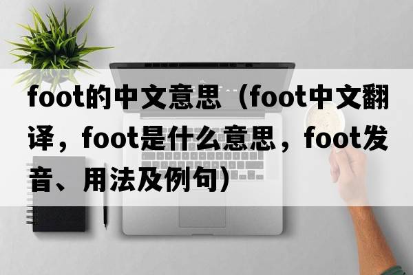 foot的中文意思（foot中文翻譯，foot是什么意思，foot發(fā)音、用法及例句）