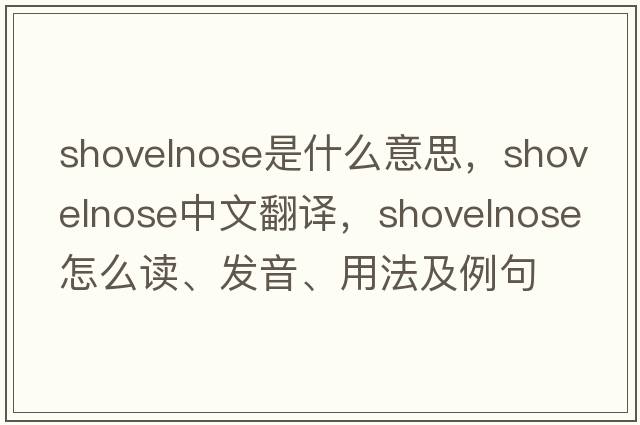 shovelnose是什么意思，shovelnose中文翻譯，shovelnose怎么讀、發(fā)音、用法及例句
