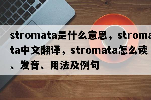stromata是什么意思，stromata中文翻譯，stromata怎么讀、發(fā)音、用法及例句