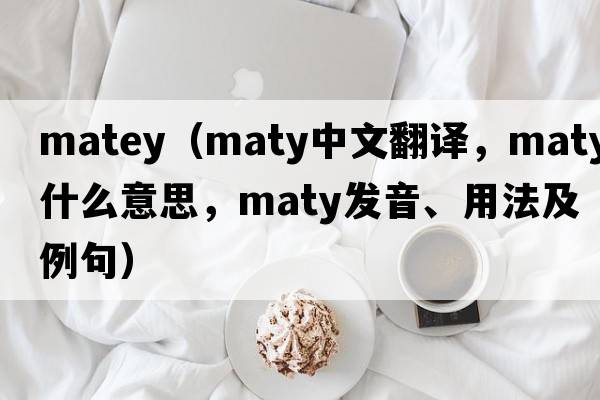matey（maty中文翻譯，maty是什么意思，maty發(fā)音、用法及例句）