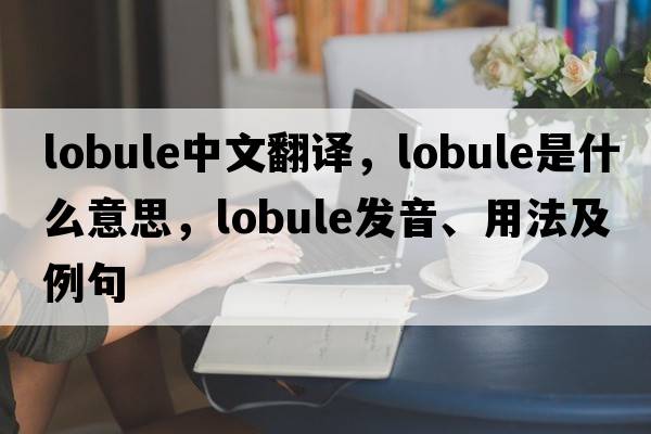 lobule中文翻譯，lobule是什么意思，lobule發(fā)音、用法及例句