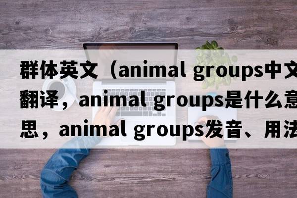 群體英文（animal groups中文翻譯，animal groups是什么意思，animal groups發(fā)音、用法及例句）