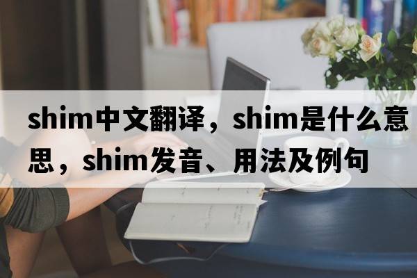 shim中文翻譯，shim是什么意思，shim發(fā)音、用法及例句