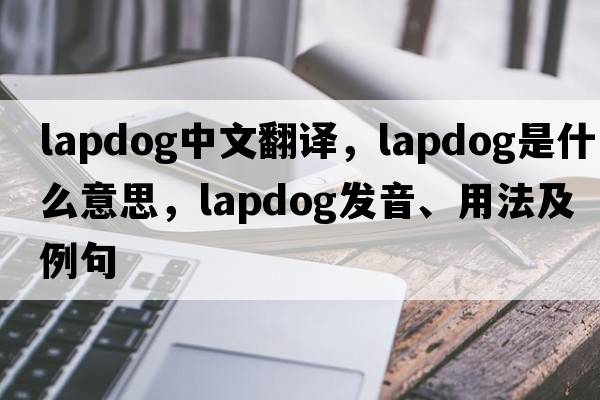 lapdog中文翻譯，lapdog是什么意思，lapdog發(fā)音、用法及例句