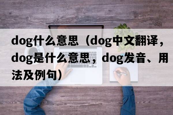 dog什么意思（dog中文翻譯，dog是什么意思，dog發(fā)音、用法及例句）