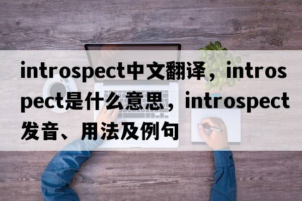 introspect中文翻譯，introspect是什么意思，introspect發(fā)音、用法及例句