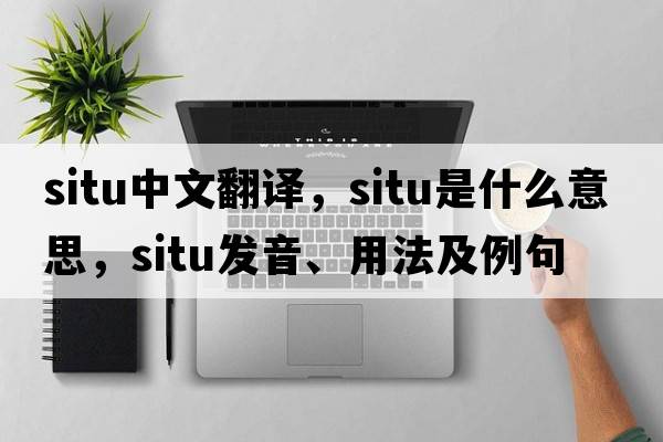 situ中文翻譯，situ是什么意思，situ發(fā)音、用法及例句