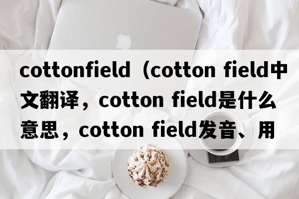 cottonfield（cotton field中文翻譯，cotton field是什么意思，cotton field發(fā)音、用法及例句）