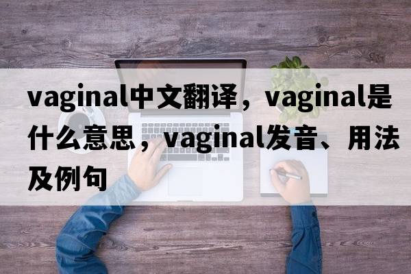 vaginal中文翻譯，vaginal是什么意思，vaginal發(fā)音、用法及例句