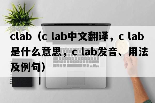 clab（c lab中文翻譯，c lab是什么意思，c lab發(fā)音、用法及例句）