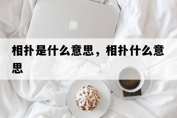 相撲是什么意思，相撲什么意思