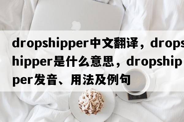 dropshipper中文翻譯，dropshipper是什么意思，dropshipper發(fā)音、用法及例句