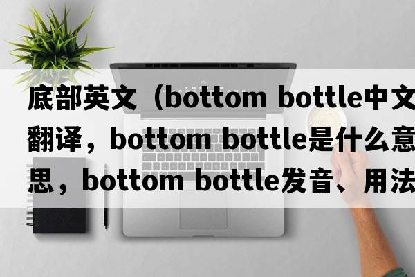 底部英文（bottom bottle中文翻譯，bottom bottle是什么意思，bottom bottle發(fā)音、用法及例句）
