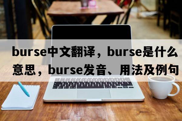 burse中文翻譯，burse是什么意思，burse發(fā)音、用法及例句