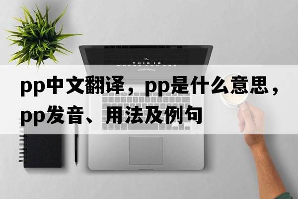 pp中文翻譯，pp是什么意思，pp發(fā)音、用法及例句