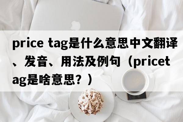 price tag是什么意思中文翻譯、發(fā)音、用法及例句（pricetag是啥意思？）
