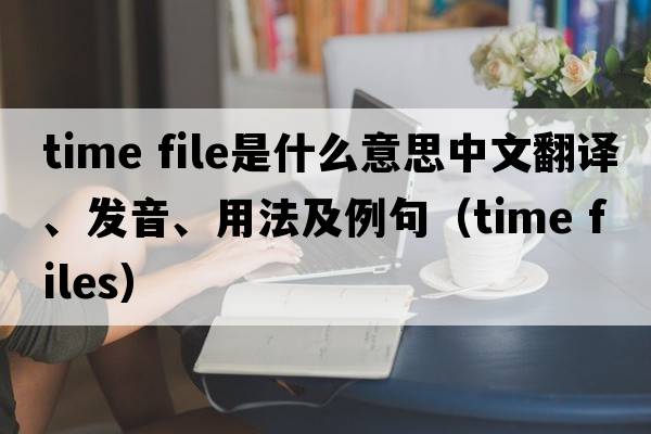 time file是什么意思中文翻譯、發(fā)音、用法及例句（time files）