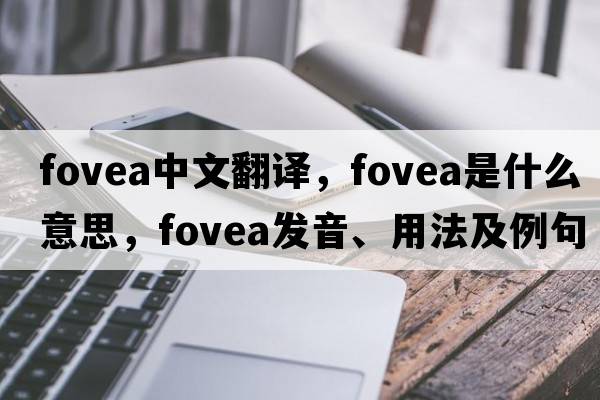 fovea中文翻譯，fovea是什么意思，fovea發(fā)音、用法及例句
