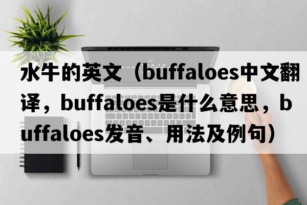 水牛的英文（buffaloes中文翻譯，buffaloes是什么意思，buffaloes發(fā)音、用法及例句）
