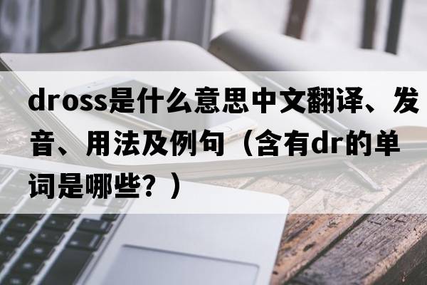 dross是什么意思中文翻譯、發(fā)音、用法及例句（含有dr的單詞是哪些？）