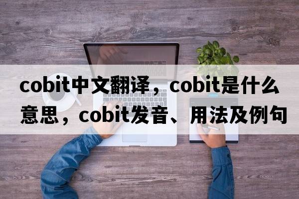 cobit中文翻譯，cobit是什么意思，cobit發(fā)音、用法及例句