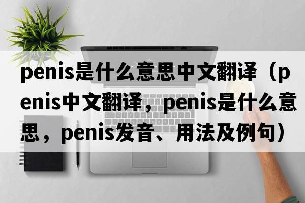 penis是什么意思中文翻譯（penis中文翻譯，penis是什么意思，penis發(fā)音、用法及例句）