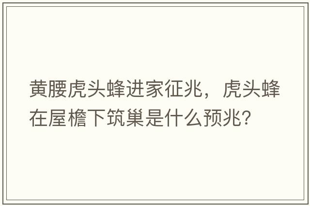 黃腰虎頭蜂進(jìn)家征兆，虎頭蜂在屋檐下筑巢是什么預兆？