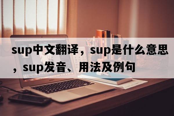 sup中文翻譯，sup是什么意思，sup發(fā)音、用法及例句