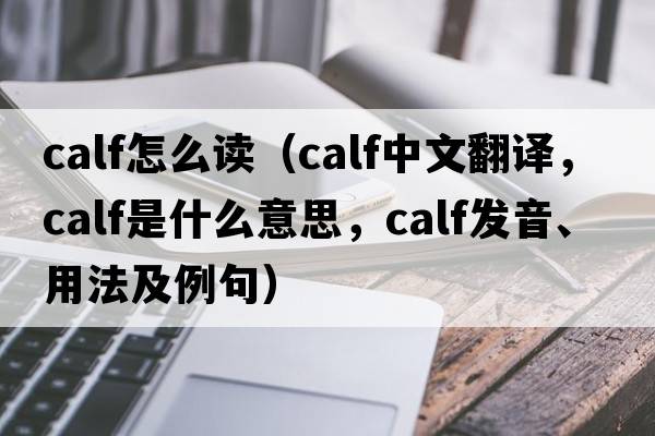 calf怎么讀（calf中文翻譯，calf是什么意思，calf發(fā)音、用法及例句）