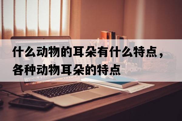 什么動(dòng)物的耳朵有什么特點(diǎn)，各種動(dòng)物耳朵的特點(diǎn)