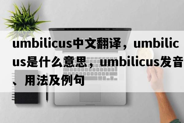 umbilicus中文翻譯，umbilicus是什么意思，umbilicus發(fā)音、用法及例句