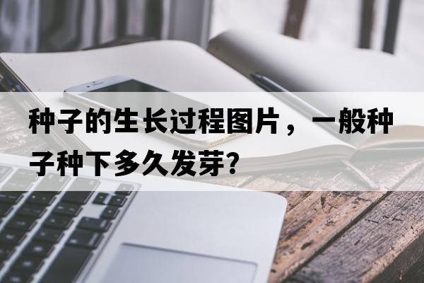 種子的生長(cháng)過(guò)程圖片，一般種子種下多久發(fā)芽？