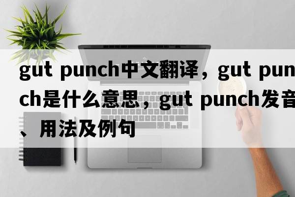 gut punch中文翻譯，gut punch是什么意思，gut punch發(fā)音、用法及例句
