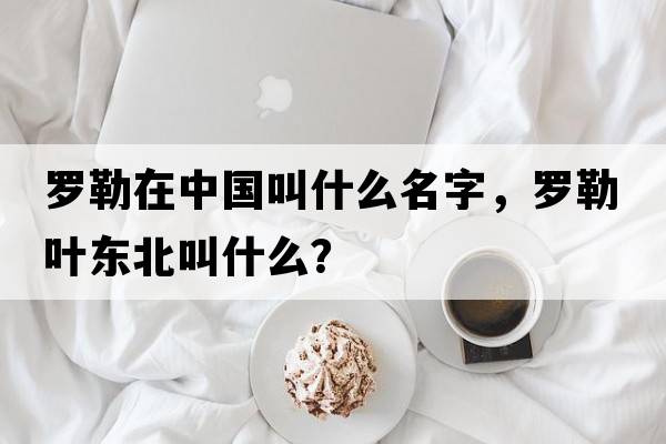 羅勒在中國叫什么名字，羅勒葉東北叫什么？