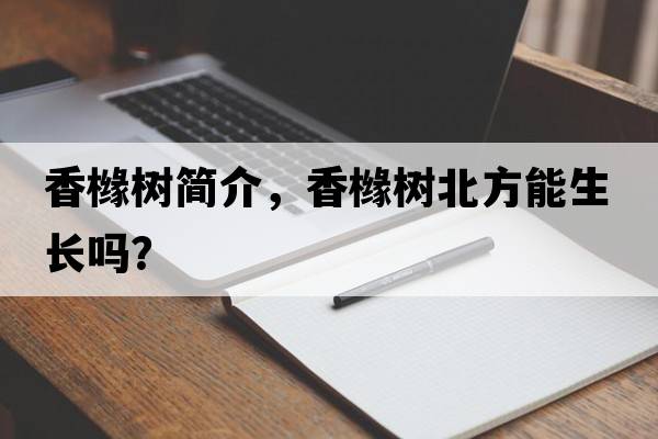 香櫞樹(shù)簡(jiǎn)介，香櫞樹(shù)北方能生長(cháng)嗎？