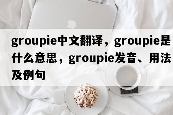 groupie中文翻譯，groupie是什么意思，groupie發(fā)音、用法及例句