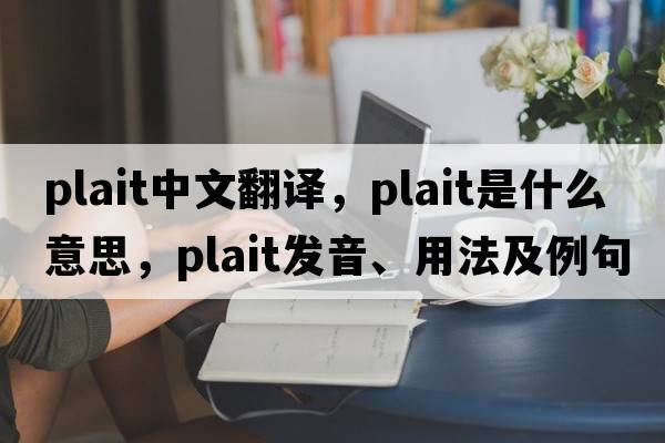 plait中文翻譯，plait是什么意思，plait發(fā)音、用法及例句