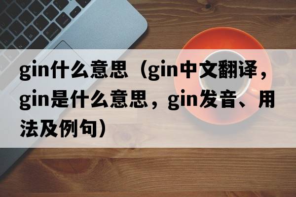 gin什么意思（gin中文翻譯，gin是什么意思，gin發(fā)音、用法及例句）