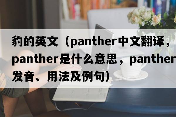 豹的英文（panther中文翻譯，panther是什么意思，panther發(fā)音、用法及例句）