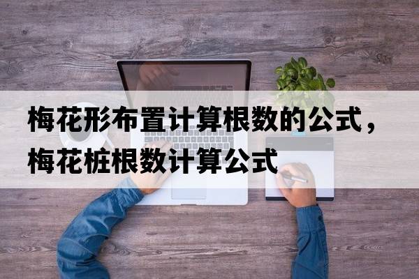 梅花形布置計算根數的公式，梅花樁根數計算公式