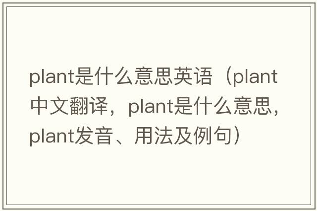 plant是什么意思英語(yǔ)（plant中文翻譯，plant是什么意思，plant發(fā)音、用法及例句）